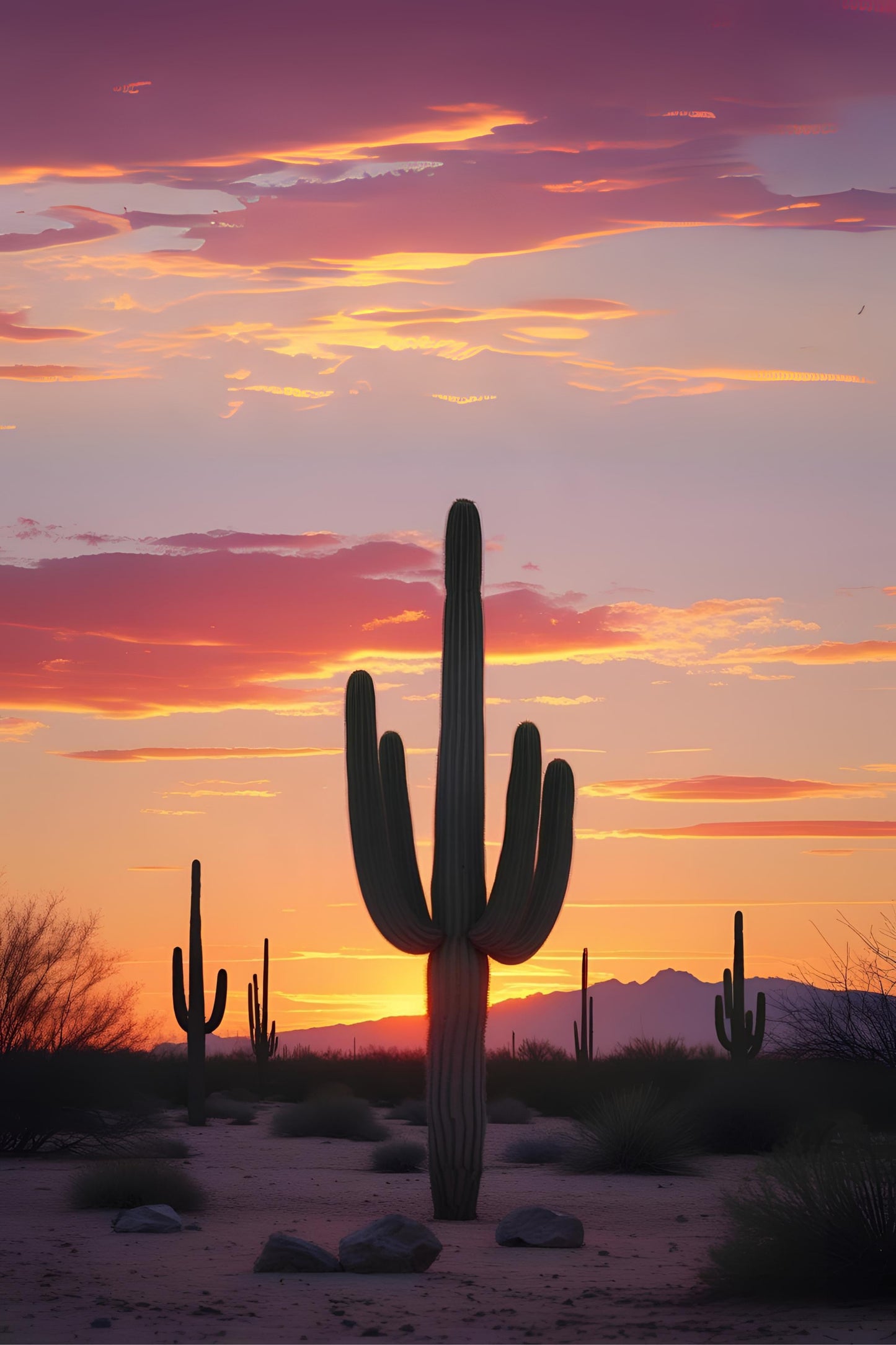 Cactusgold Dusk