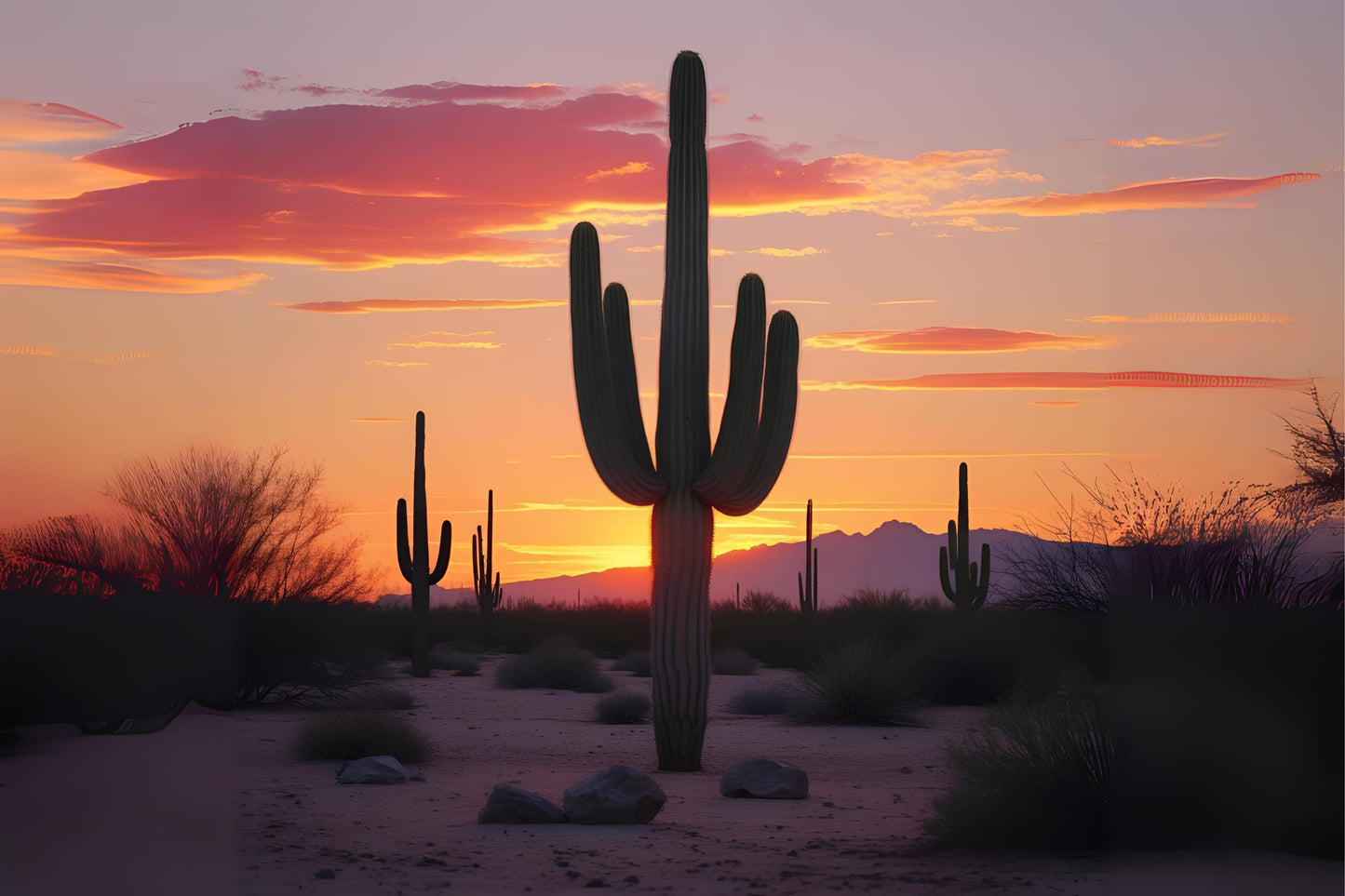 Cactusgold Dusk